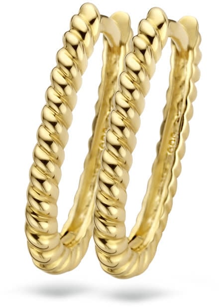 Blush Blush Oorbellen 7273YGO 14k Geelgoud met Gedraaid Motief Ovaal Goud