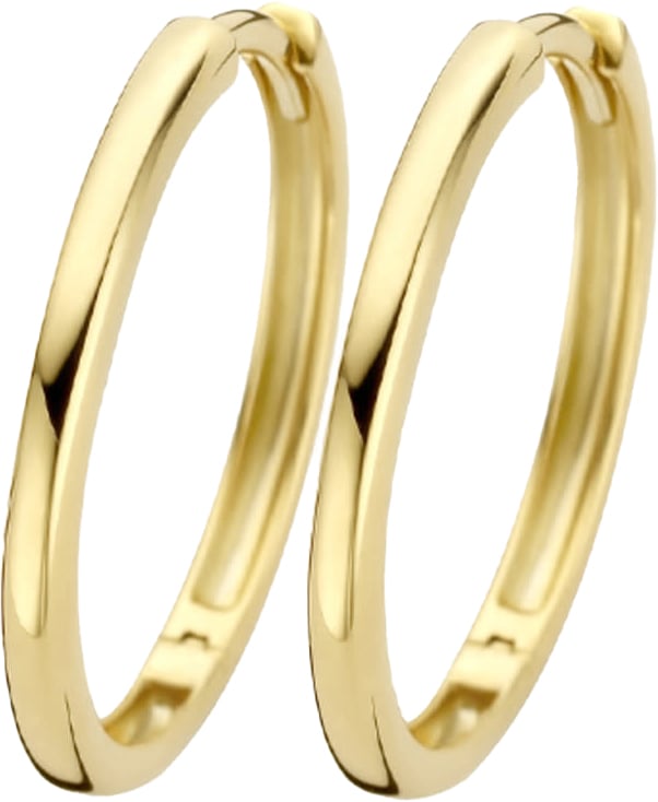 Blush Blush Oorbellen 7274YGO Oorringen 14k Geelgoud Glad 20mm Goud