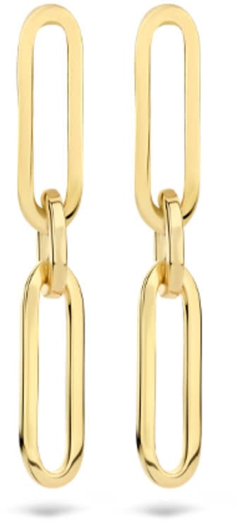 Blush Blush Oorbellen 7275YGO 14k Geelgoud met 2 Closed Forever Schakels Goud