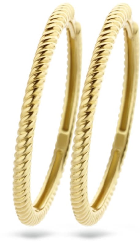 Blush Blush 7287YGO oorbellen dames creool in 14k goud met ribbek motief 2cm doorsnede Goud