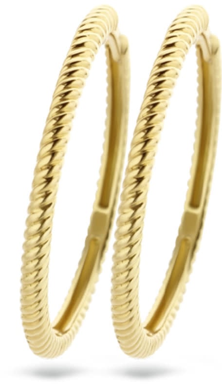 Blush Blush 7287YGO oorbellen dames creool in 14k goud met ribbek motief 2cm doorsnede Goud