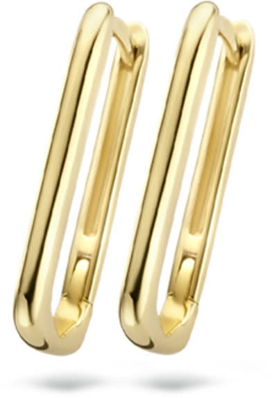 Blush Blush Oorbellen 7295YGO Oorringen 14kr Geelgoud Rectangular 18mm doorsnede Goud