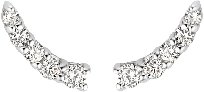 Blush Blush Oorbellen 7319WZI 14k Witgoud met Zirkonia Zilver