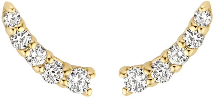 Blush Blush Oorbellen 7319YZI 14k Geelgoud met Zirkonia Goud