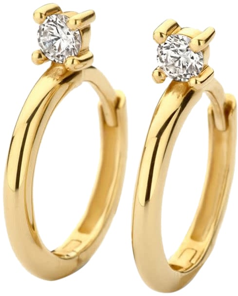 Blush Blush Oorbellen 7372YZI 14k Geelgoud Oorringen met Zirkonia Goud