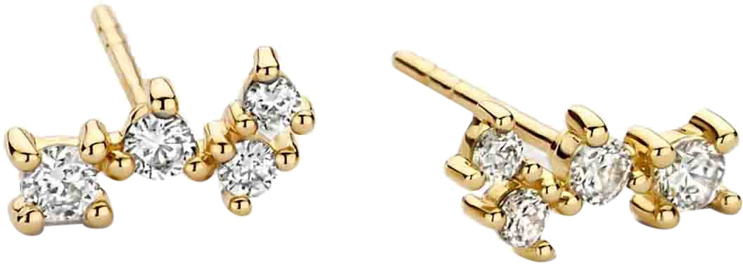 Blush Blush Oorbellen 7373YZI 14k Geelgoud Oorstekers met Zirkonia Goud