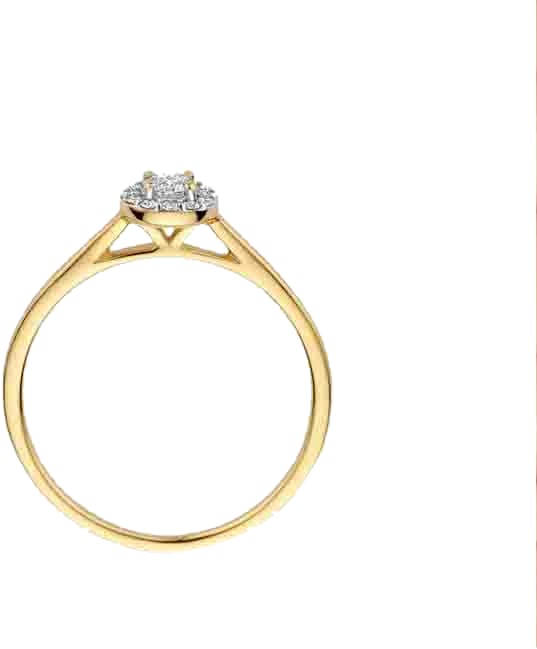 Blush Blush Ring LG1023Y/54 14k Geelgoud met 0,13crt en 0,09crt H SI Briljant geslepen Lab Grown Diamant Maat 54 Goud