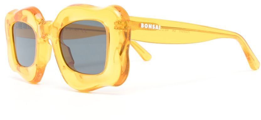 Bonsai Sunglasses Orange Oranje