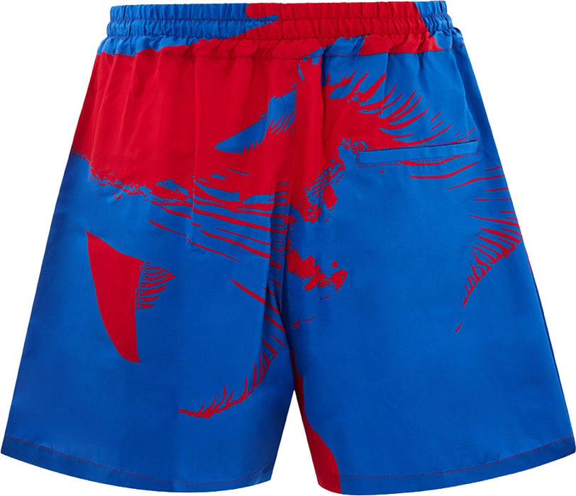 Bottega Veneta Boxeur Bottega Veneta Mixed Silk Shorts Divers