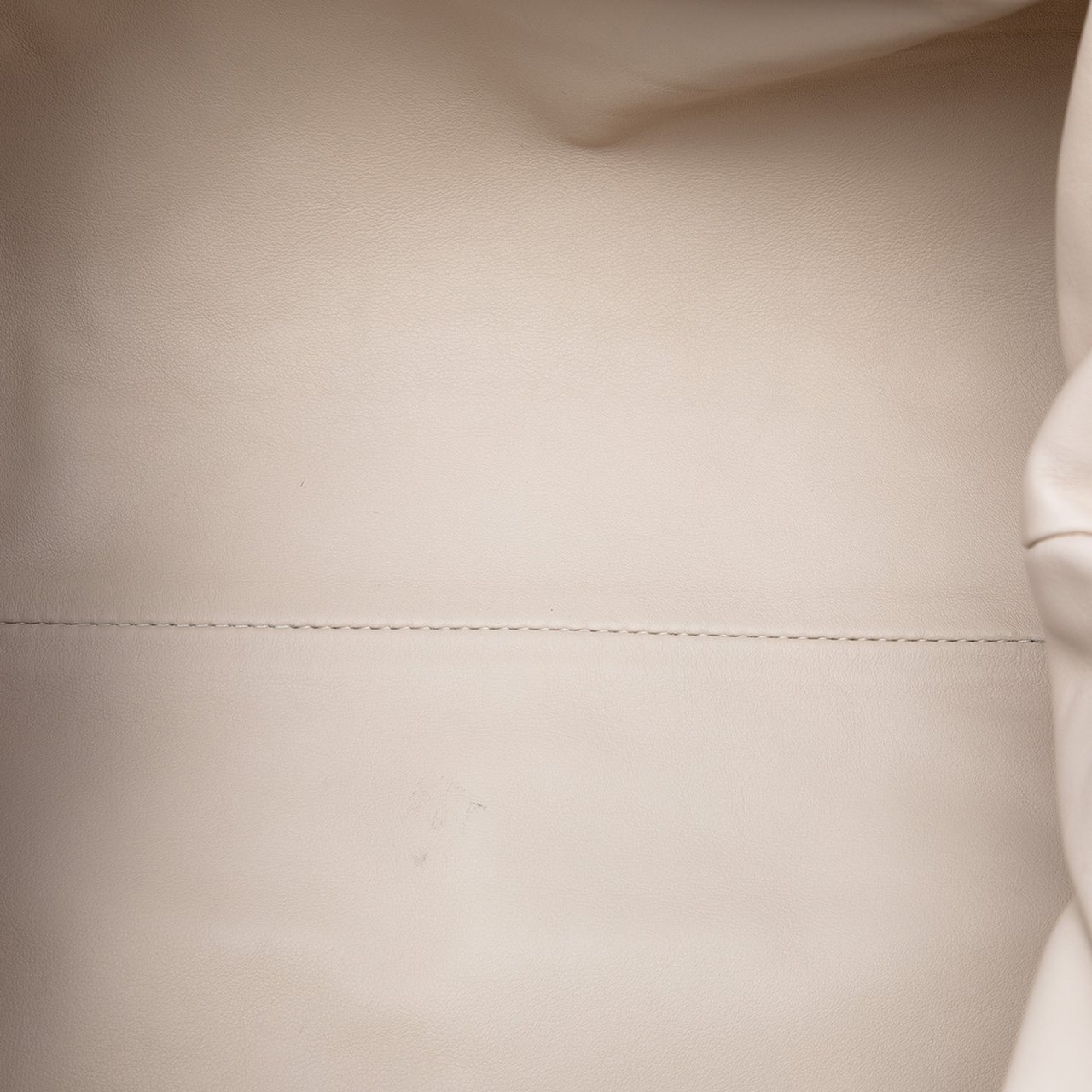 Bottega Veneta Lambskin The Pouch Wit