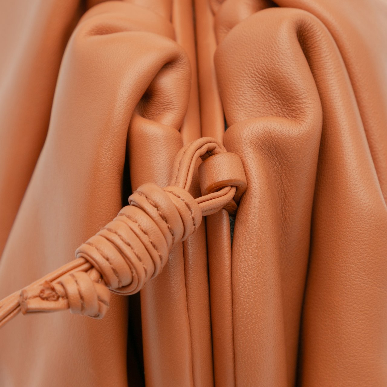 Bottega Veneta Lambskin The Mini Pouch Crossbody Bruin