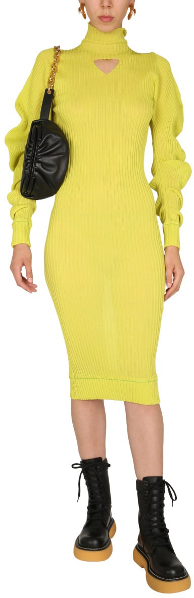 Bottega Veneta Polo Neck Silk Dress with Ruched Sleeves Goud