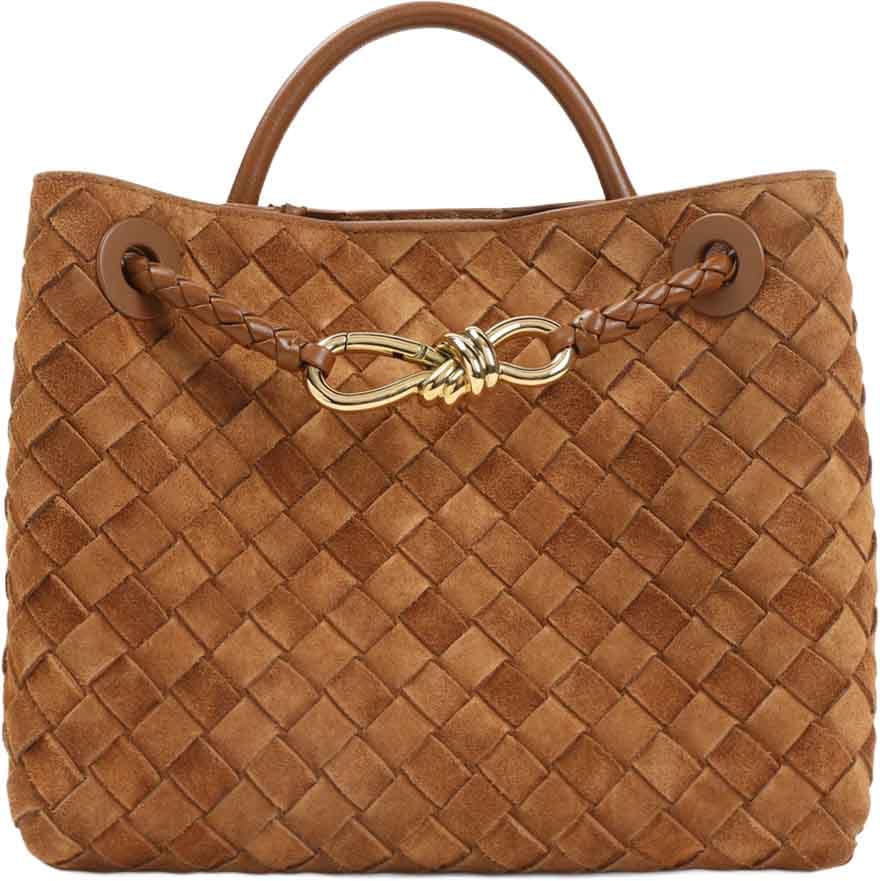 Bottega Veneta Small Andiamo Bag Divers