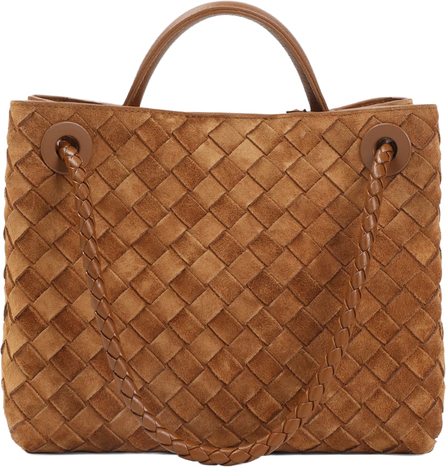 Bottega Veneta Small Andiamo Bag Divers