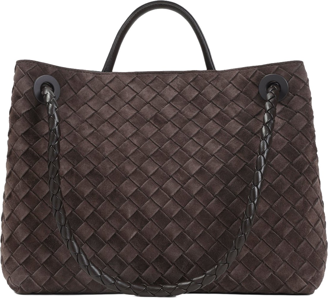 Bottega Veneta Medium Andiamo Bag Divers
