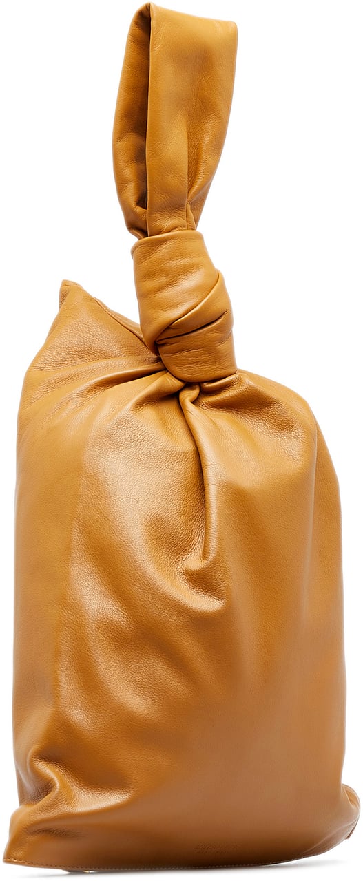 Bottega Veneta The Twist Bruin
