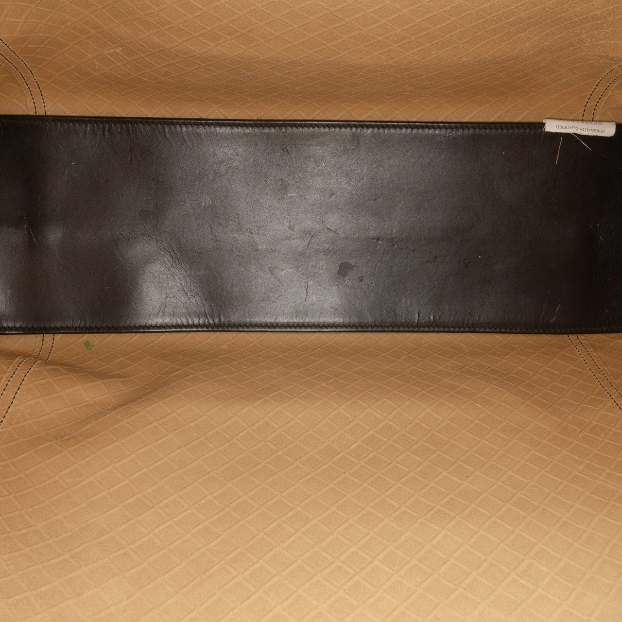 Bottega Veneta Printed Nappa Intrecciomirage Butterfly Tote Bruin