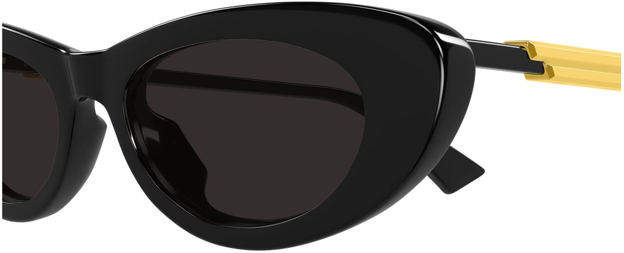 Bottega Veneta Bv1447s Cat-Eye Sunglasses Zwart