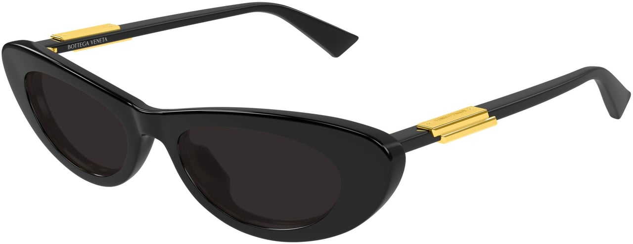 Bottega Veneta Bv1447s Cat-Eye Sunglasses Zwart
