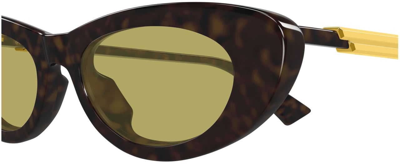 Bottega Veneta Bv1447s Cat-Eye Tortoiseshell Sunglasses Zwart