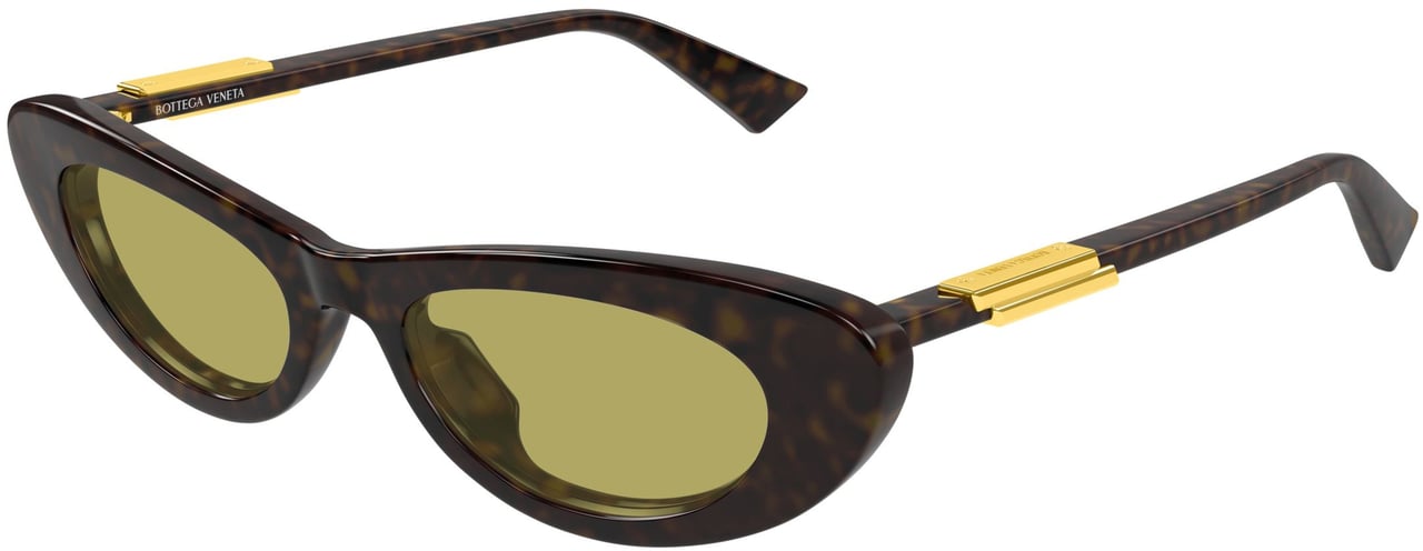 Bottega Veneta Bv1447s Cat-Eye Tortoiseshell Sunglasses Zwart