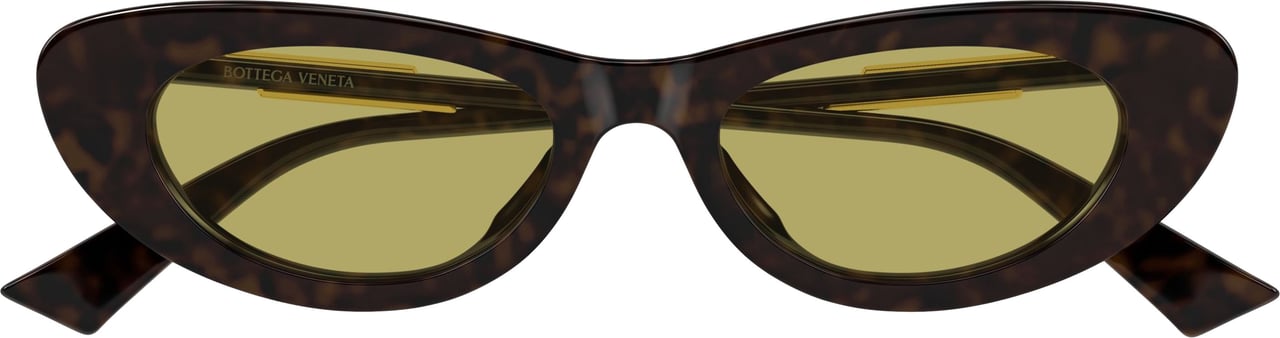 Bottega Veneta Bv1447s Cat-Eye Tortoiseshell Sunglasses Zwart