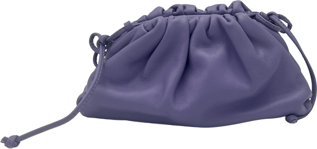 Bottega Veneta Bottega Veneta Mini Pouch - Purple Paars