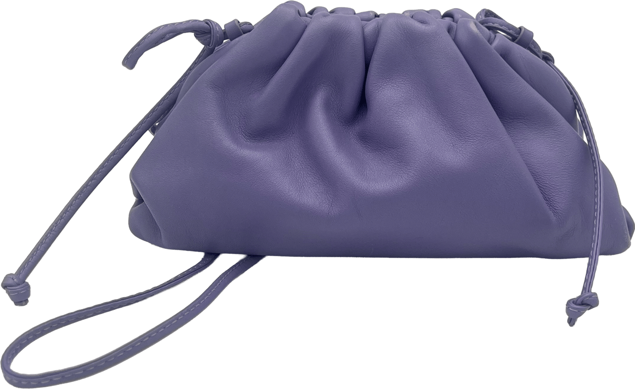 Bottega Veneta Bottega Veneta Mini Pouch - Purple Paars