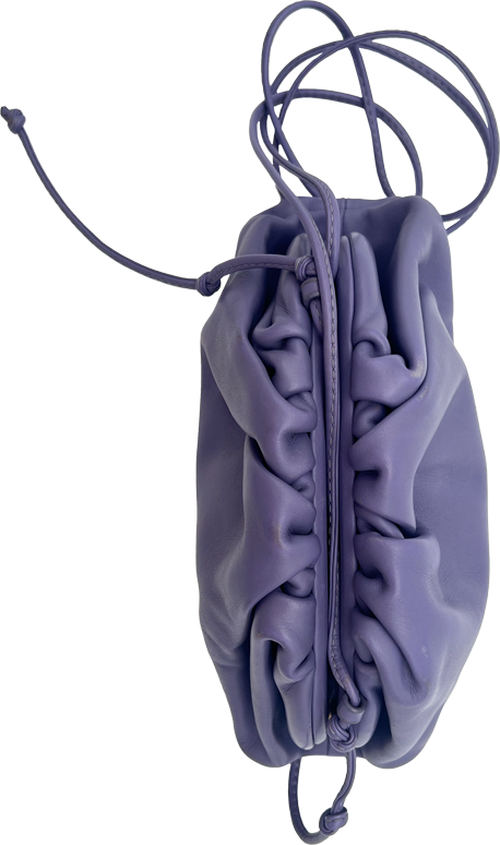 Bottega Veneta Bottega Veneta Mini Pouch - Purple Paars