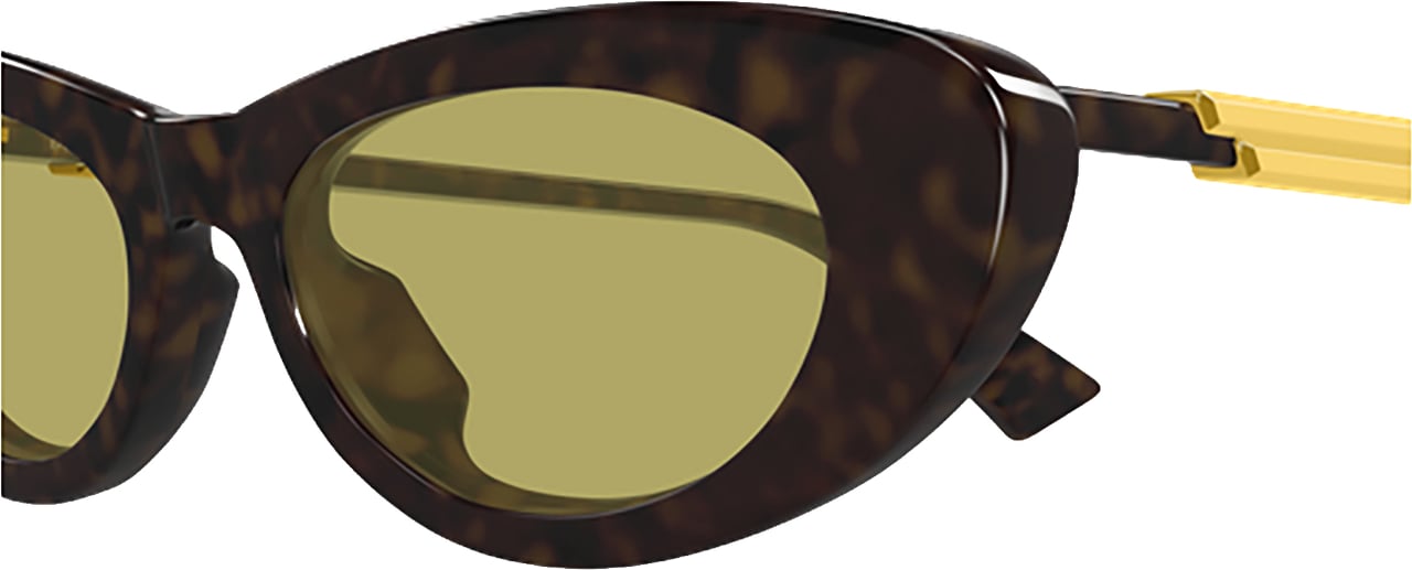 Bottega Veneta Bottega Veneta BV1447S Bruin