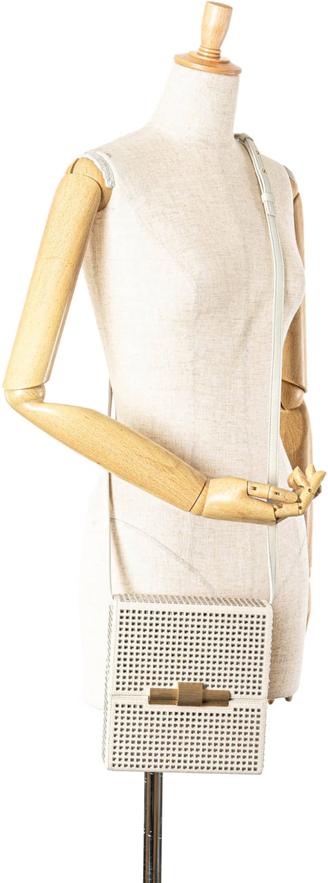 Bottega Veneta Crystal Embellished Canvas Daisey Crossbody Bruin