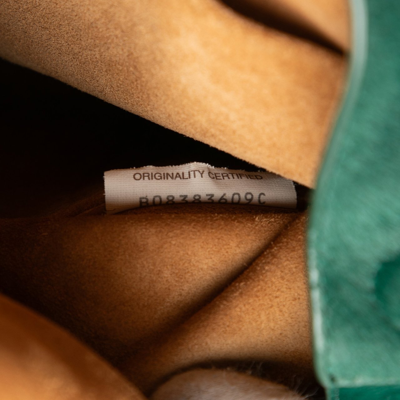 Bottega Veneta Small Pony Hair Drop Bucket Bag Groen