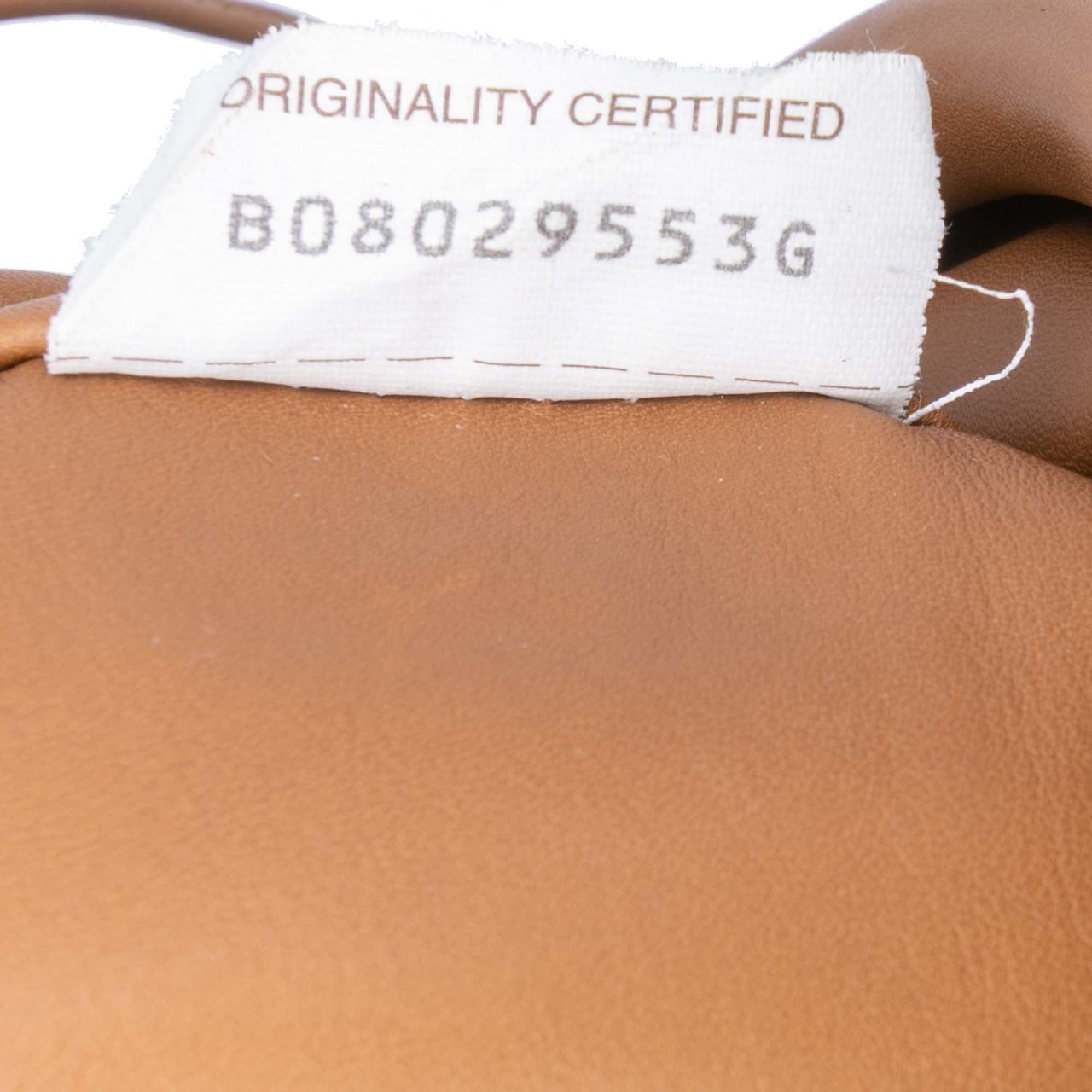 Bottega Veneta Lambskin The Mini Pouch Crossbody Bruin