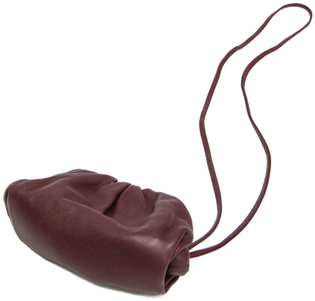 Bottega Veneta Bottega Veneta The Pouch Leather Mini Divers