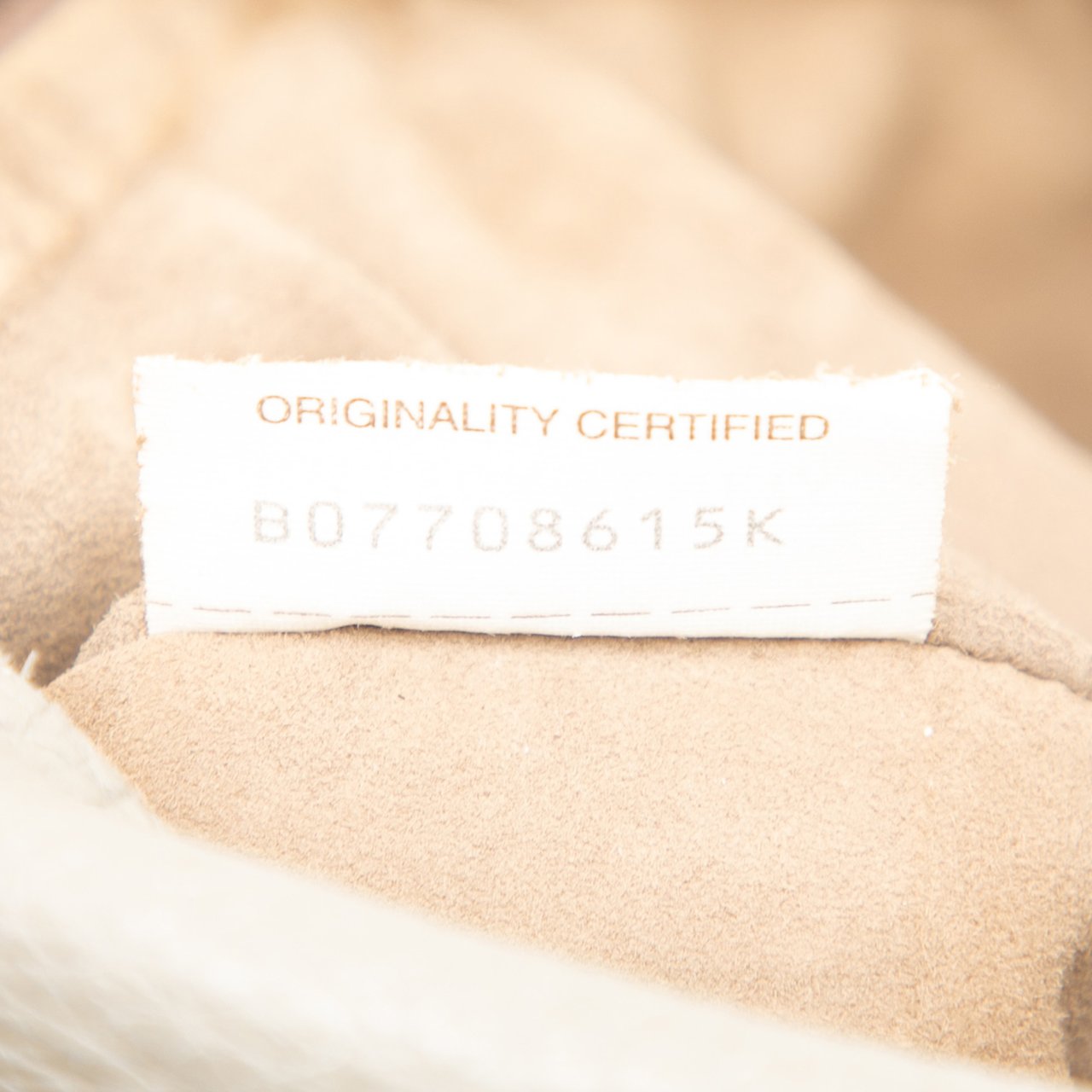 Bottega Veneta Large Washed Cervo Deerskin Hobo Wit