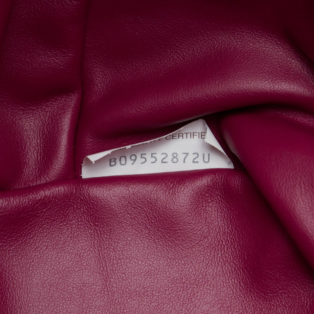 Bottega Veneta Beak Handbag Roze