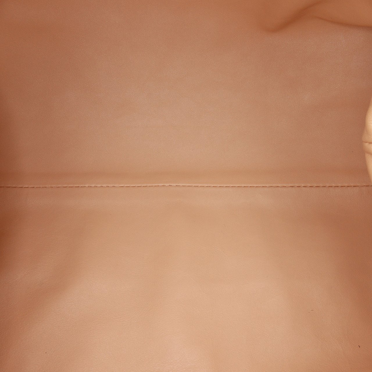 Bottega Veneta Lambskin The Pouch Bruin