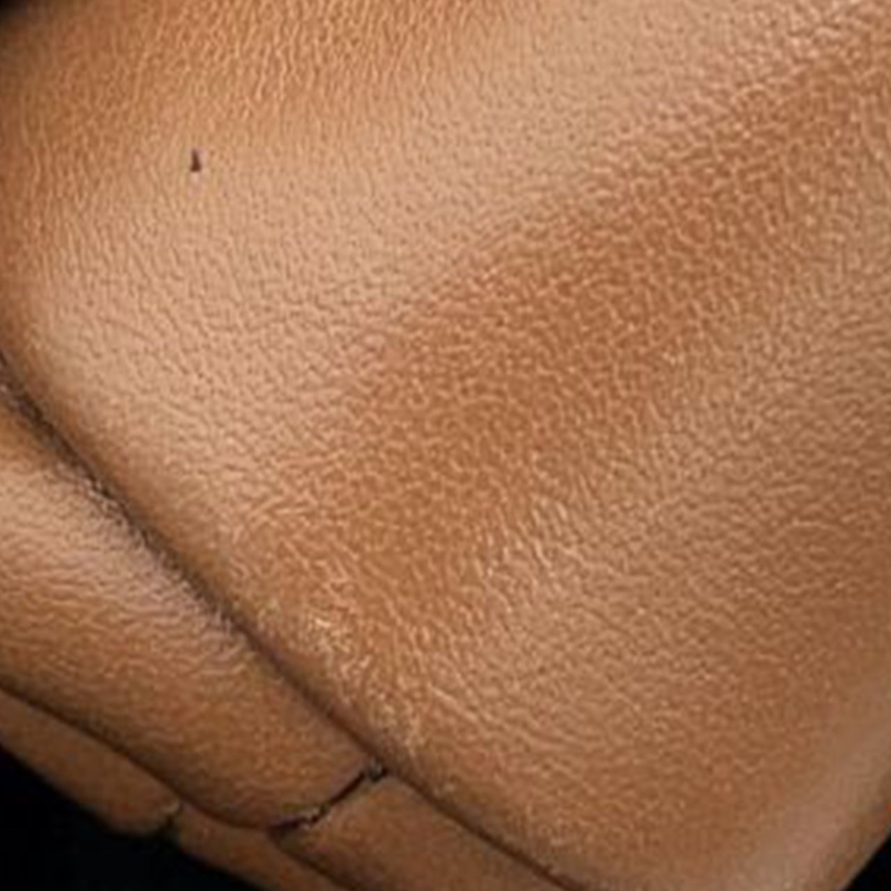 Bottega Veneta Lambskin The Extra Mini Pouch Crossbody Bruin