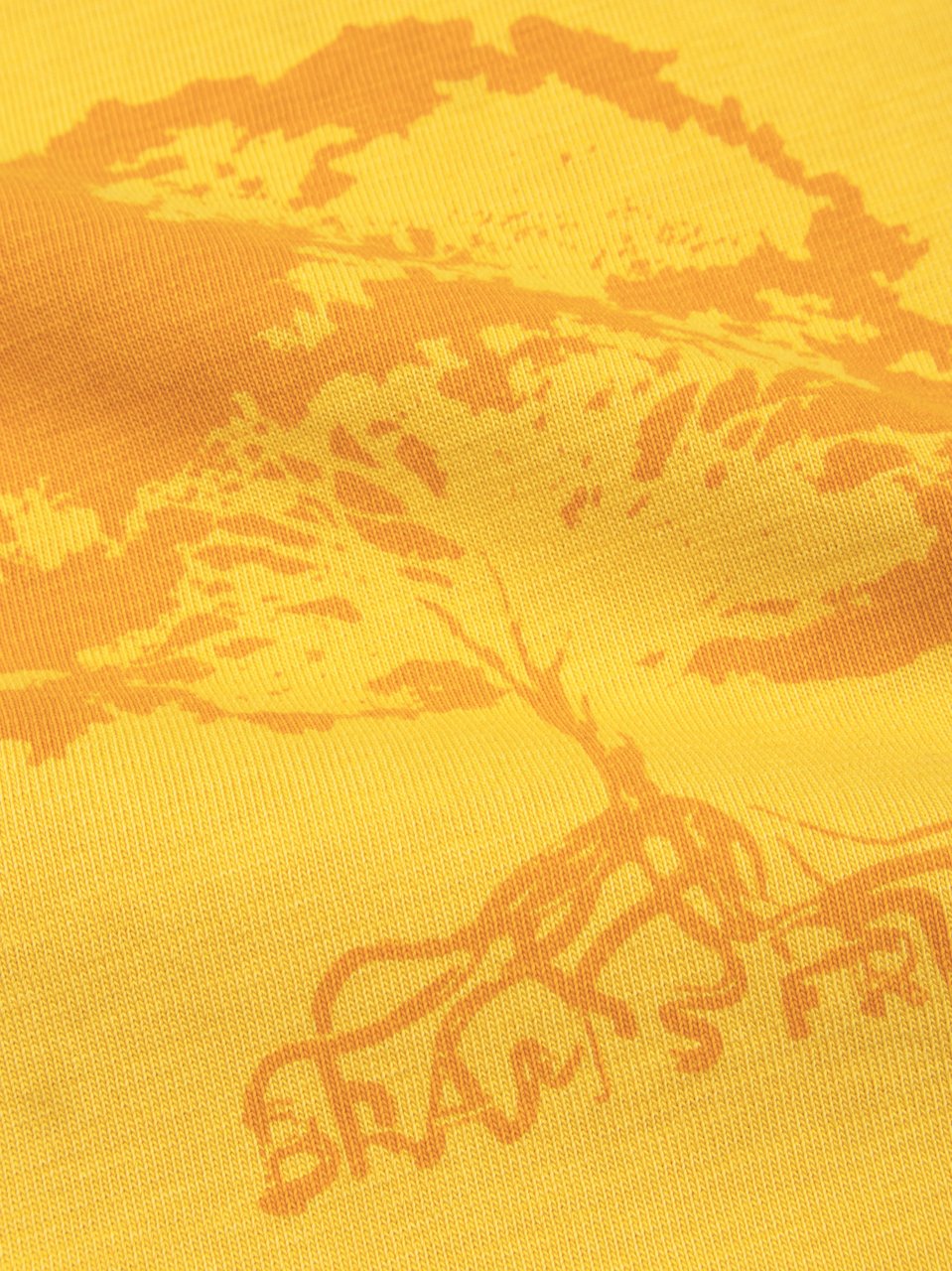 Bram's Fruit Roots T-Shirt - Washed Dried Orange Oranje