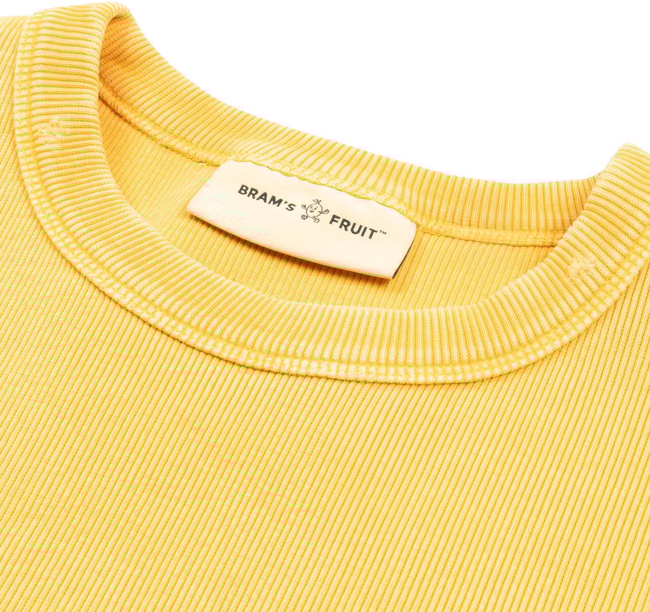 Bram's Fruit Heavy Rib T-Shirt Distressed - Washed Dried Orange Oranje