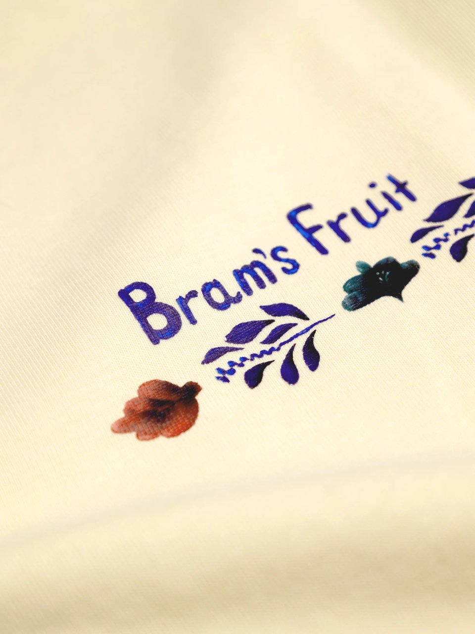 Bram's Fruit Flora Longsleeve - Solid Beige Beige