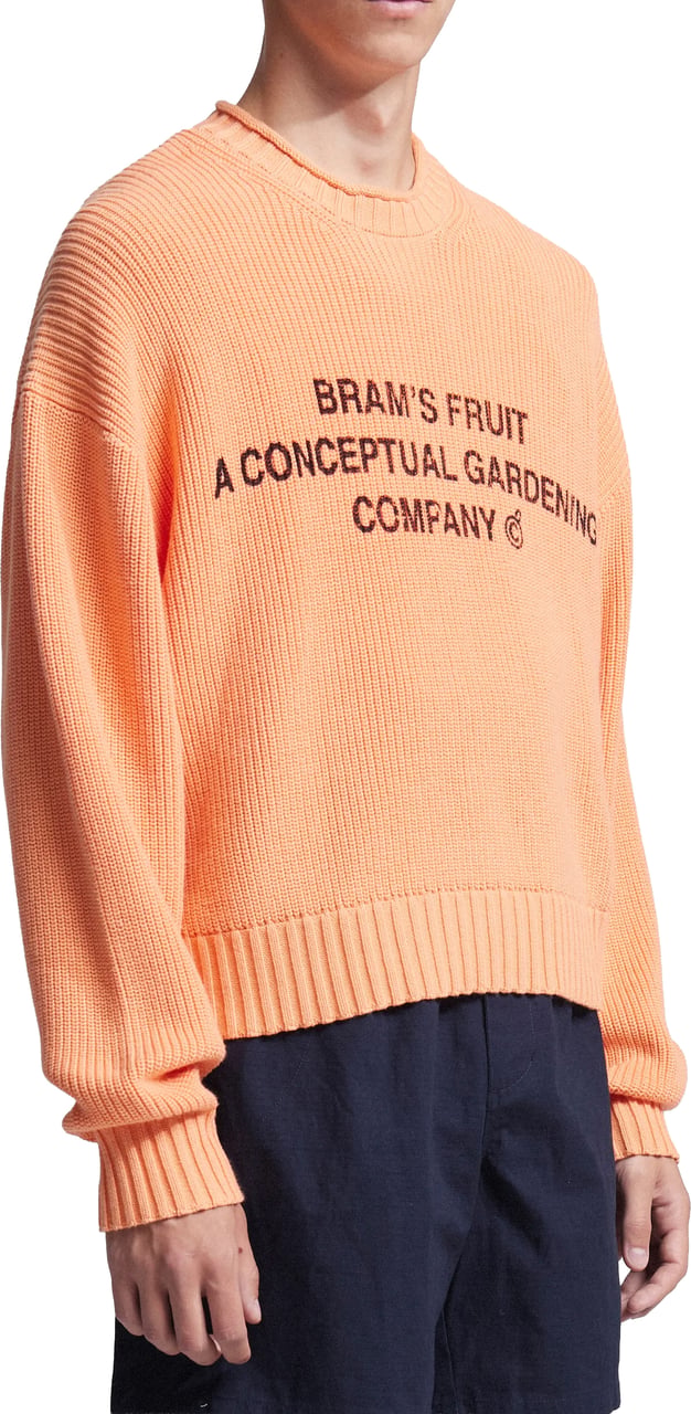 Bram's Fruit Stamp Knit - Orange Oranje