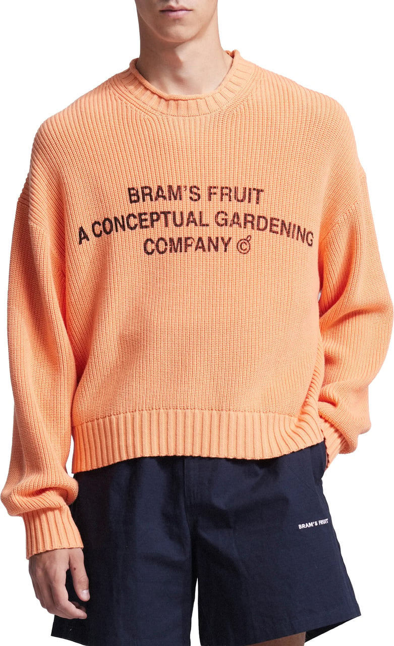 Bram's Fruit Stamp Knit - Orange Oranje