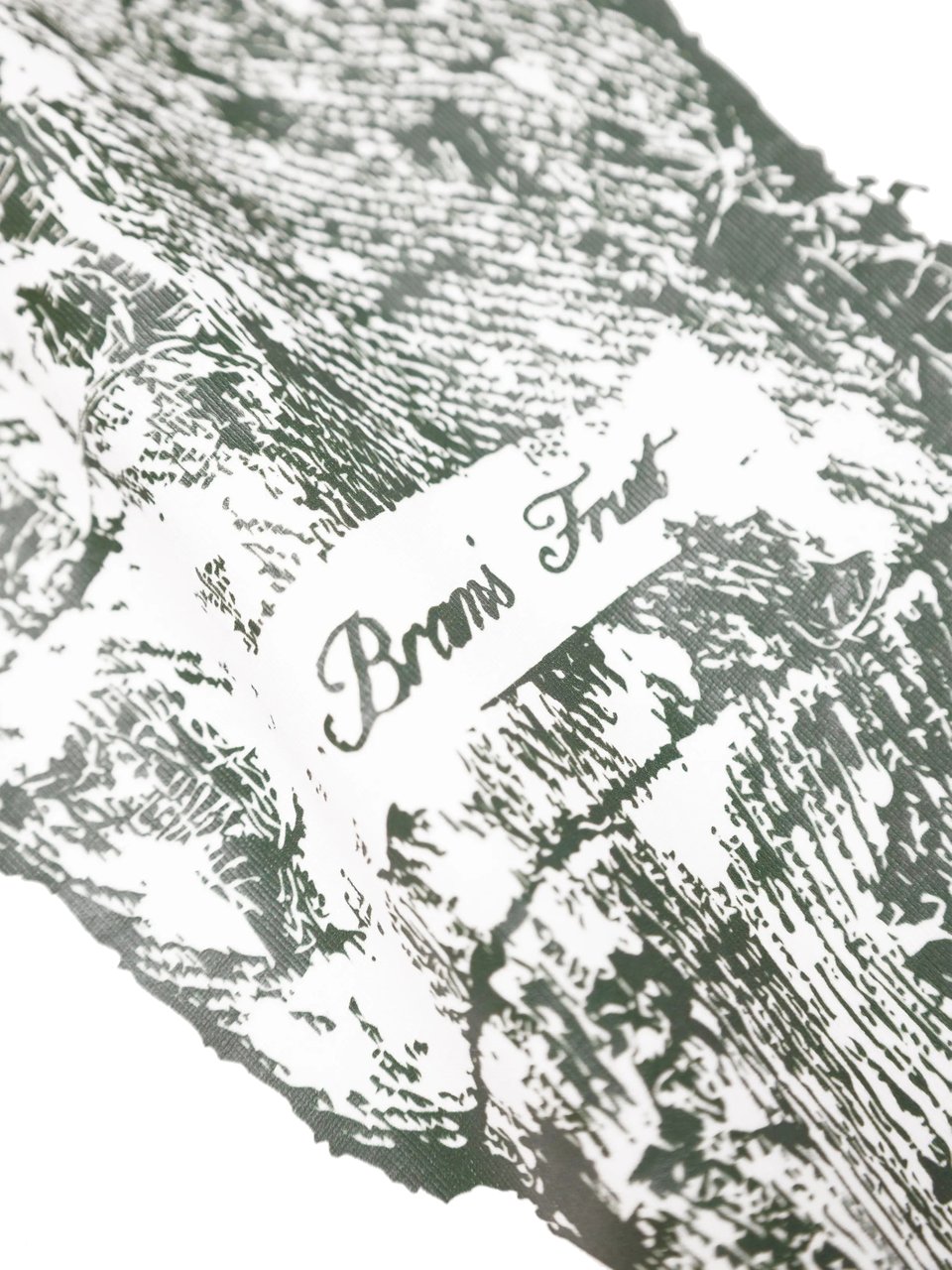 Bram's Fruit Gardening Glove T-shirt - White Wit