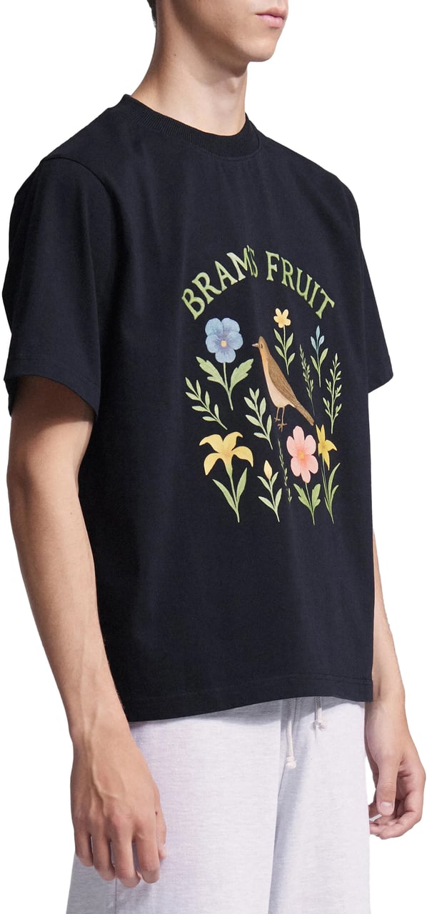 Bram's Fruit Robin T-shirt - Black Zwart