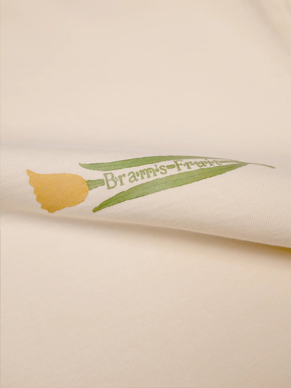 Bram's Fruit Botanical T-shirt - Beige Beige