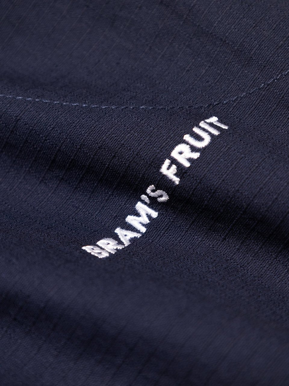 Bram's Fruit Ripstop Text Logo Shorts - Navy Blauw
