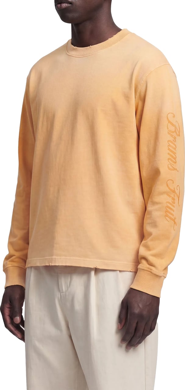 Bram's Fruit Distressed Script Logo Longsleeve - Orange Oranje
