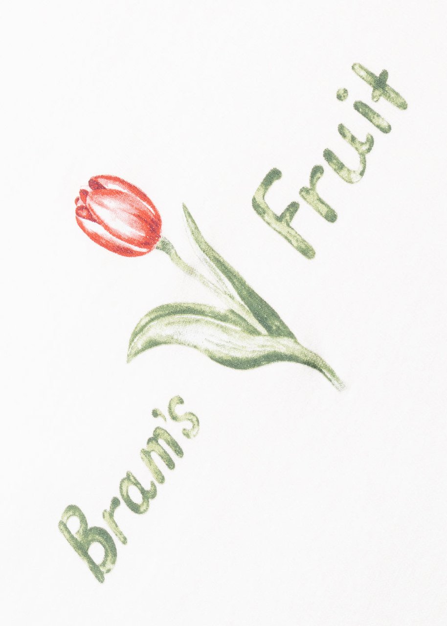 Bram's Fruit Tulip Aquarel T-Shirt - White Wit