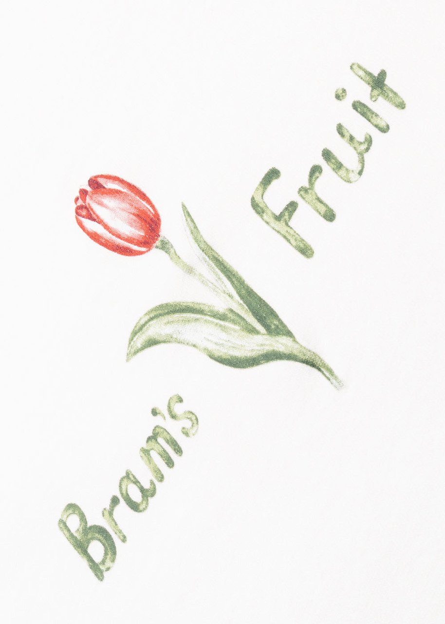 Bram's Fruit Tulip Aquarel T-Shirt - White Wit